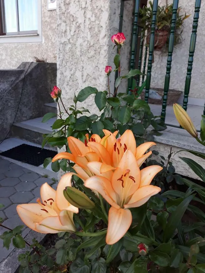 Cynda'S Home فيزيو البرتغال